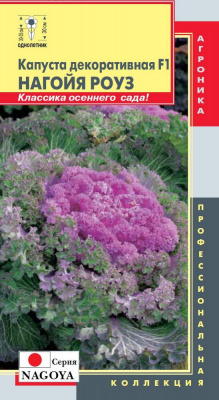 цКапуста декор. Нагойя Роуз