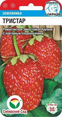 Земляника Тристар 10шт