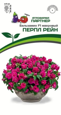 Бальзамин Перпл рейн 5шт