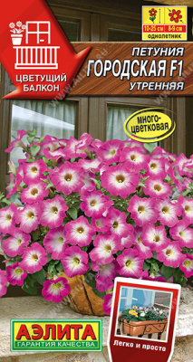 Петуния Городская утренняя 7шт