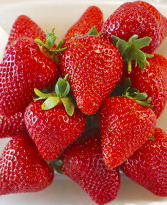 Земляника Фраголария ранняя (40 шт)