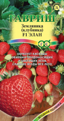 Земляника Элан (клубника) 5шт