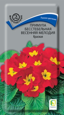 Примула Весенняя мелодия красная 10шт