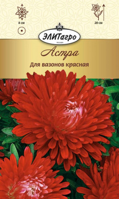 цАстра Для вазонов красная