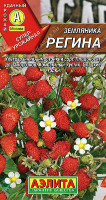 Земляника Регина 0,04г ремон.