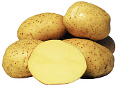 Картофель Винета 1 кг (синяя лента)