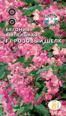 цБегония Розовый шелк