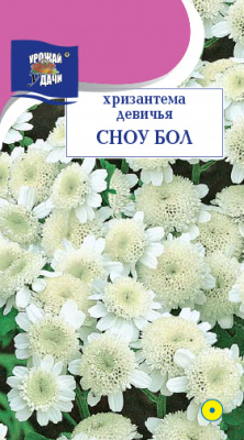 Хризантема Сноу Бол девичья 0,05г