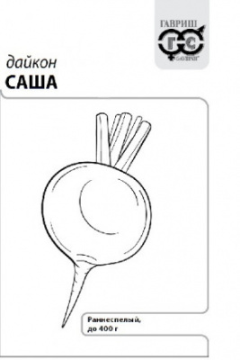 Дайкон Саша 1г