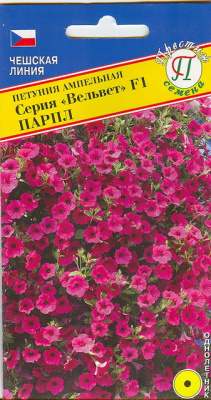 цПетуния Вельвет парпл амп 5шт