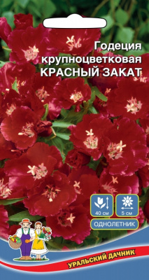 цГодеция Красный закат