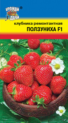 Клубника Ползуниха 5шт крупн.ремон.амп. Клубника Ползуниха 5шт крупн.ремон.амп.