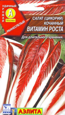 Сеем эндивий и радичио. Как вырастить цикорные салаты | Аргументы и Факты