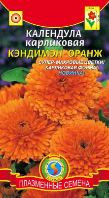 цКалендула Кэндимэн Оранж