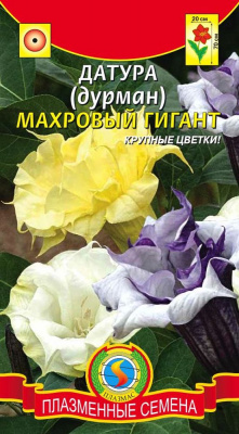цДатура (Дурман) Махровый гигант 4шт