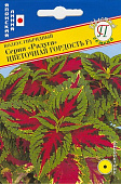 Колеус Радуга Цветочная гордость 10шт