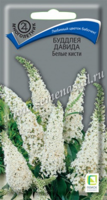 Буддлея Белые кисти (Давида) 0,01г