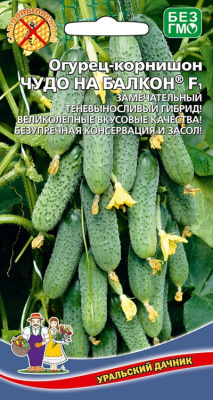 Огурец Чудо на Балкон