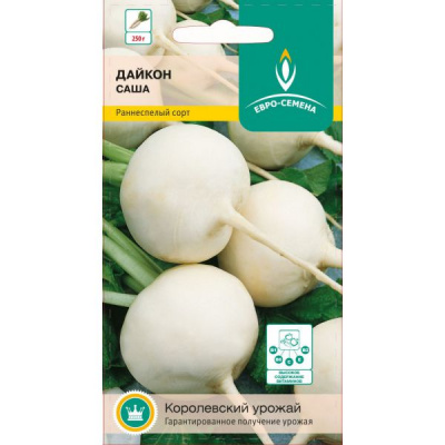 Дайкон Саша 1г