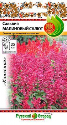 цСальвия Малиновый салют 10шт