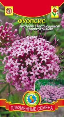 цФуопсис 8шт
