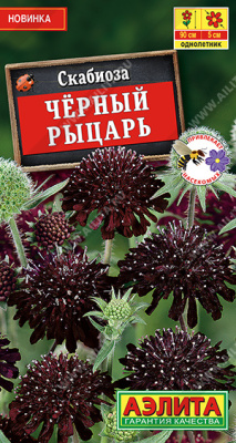 Скабиоза Черный рыцарь 0,1г