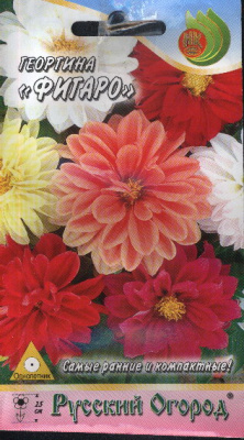 цГеоргина Фигаро смесь 0,2г