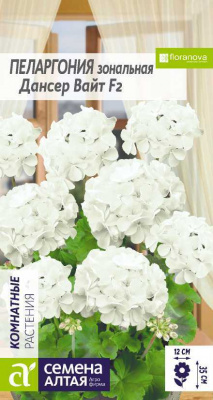 цПеларгония Дансер Вайт 3 шт