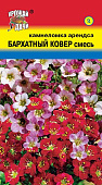 Камнеломка Бархатный ковер смесь арендса 0,01г