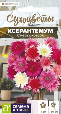 цКсерантемум Смесь окрасок СУХОЦВЕТЫ 0,05 г