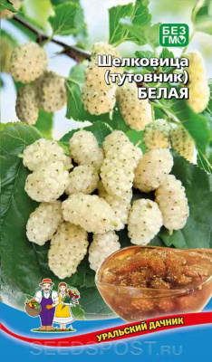 Шелковица (тутовник) Белая 0,15г