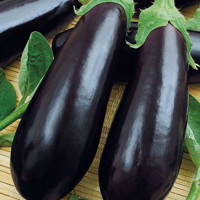 Баклажан Навал 5шт