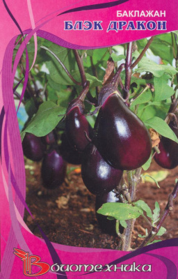 Баклажан Блэк Дракон 20шт