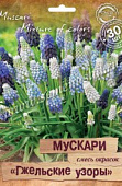 Мускари Гжельские узоры смесь (30 шт)