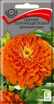 Цинния Оранжевый король 0,4г