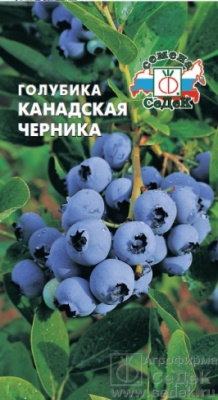 Голубика Канадская Черника 0,05г