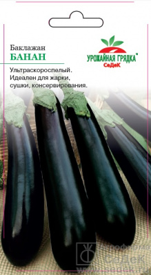 Баклажан Банан Урожайная грядка