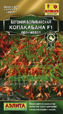 цБегония Копакабана оранжевая 5шт