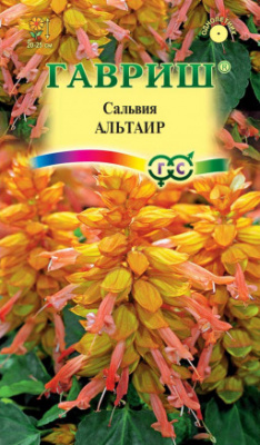 Сальвия Альтаир 4шт