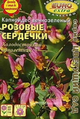 цКапноидес Розовые сердечки