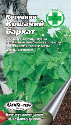 Котовник Бархат кошачий