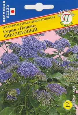 Трахелиум Пэшн Фиолетовый 5др