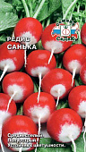 Редис Санька 2г