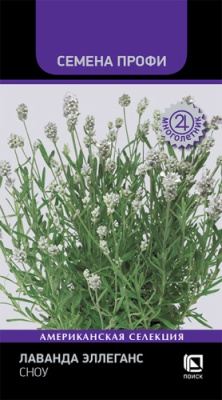 Лаванда Эллеганс Сноу 10шт (Семена Профи)