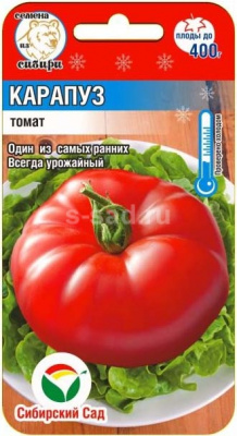 Томат Карапуз 20шт