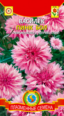 цВасилек Пинк бол