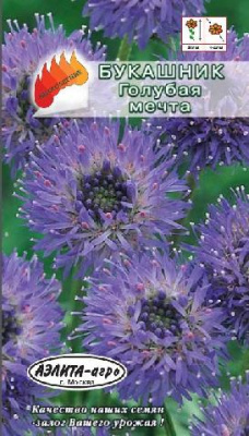 цБукашник Голубая мечта