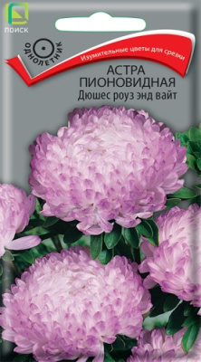 Астра Дюшес роуз энд вайт 0,3г