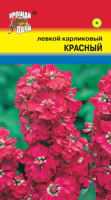 цЛевкой карликовый Красный