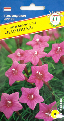 цИпомея Кардинал, 10 шт Голландия